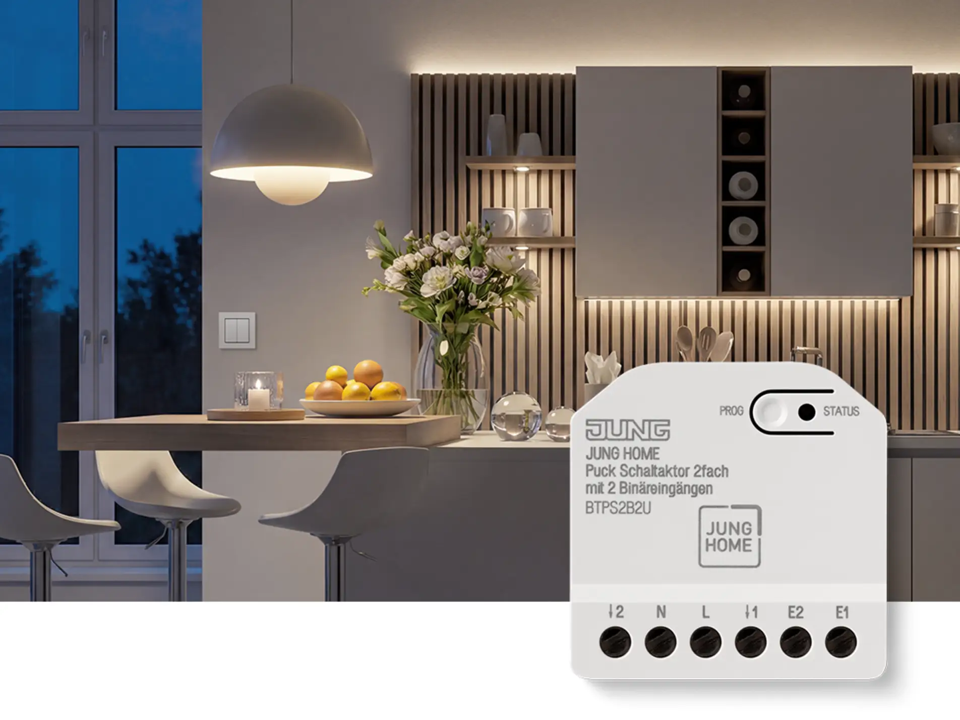 JUNG HOME Puck Use 2